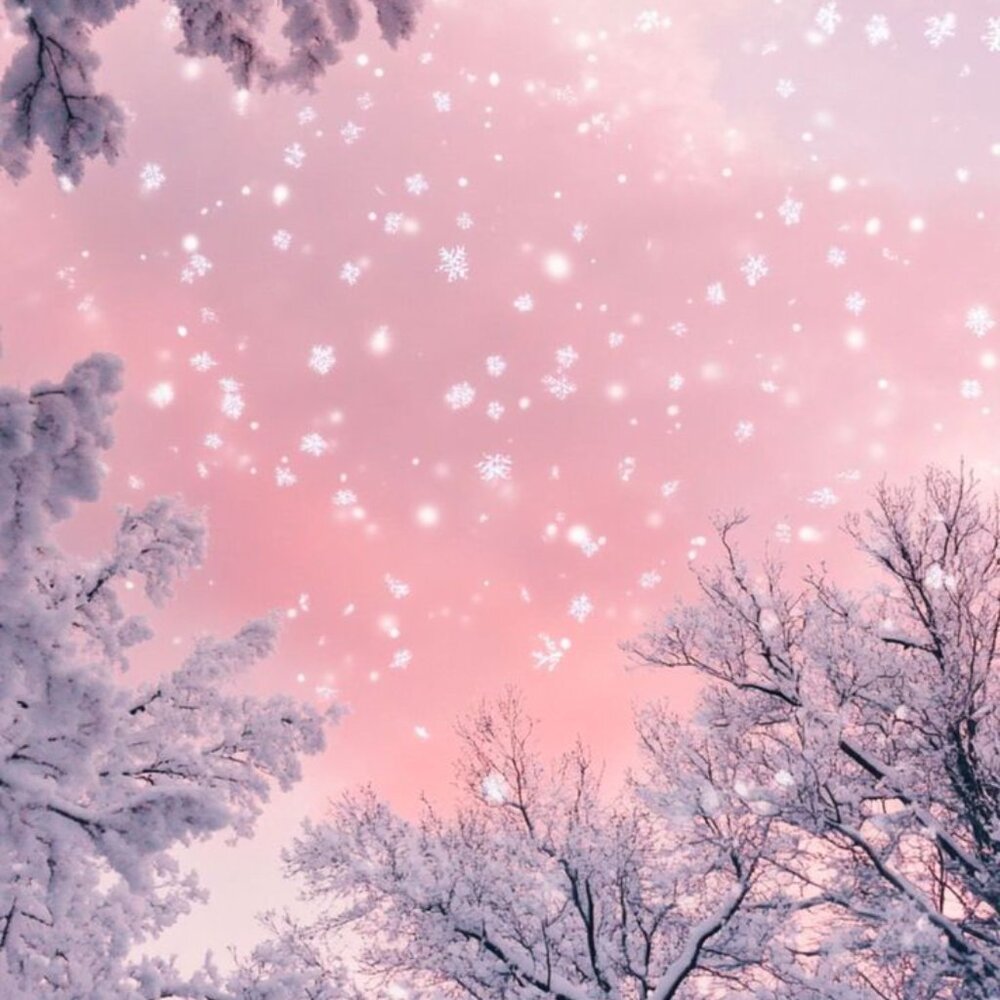 Meet your Posher, Tabithia